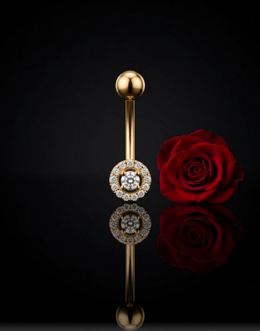 עגיל פירסינג הילי