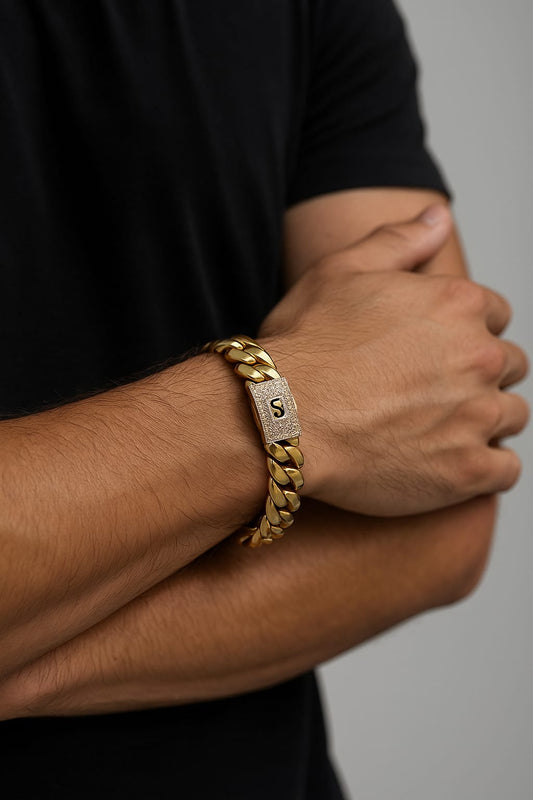 צמיד מונאקו ״טיטאניום לינק״