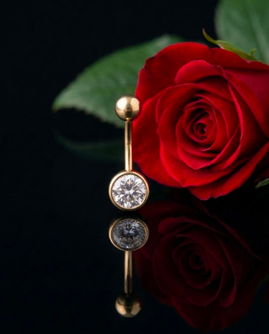 עגיל פירסינג דניאל